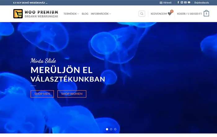 Egy WooCommerce demó-webáruház nyitólapja: fejléc kosárral és kedvencekkel, alatta nagy, kék tónusú nyitókép